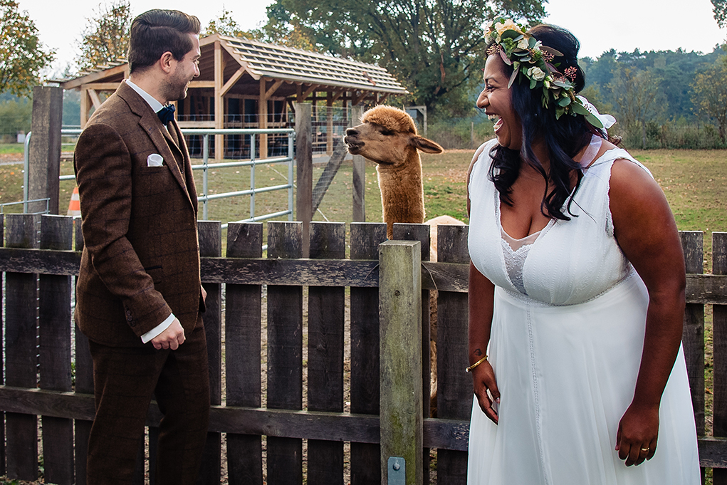 Alpaca Farm Kananohe Hannover Destination Wedding Ceremony