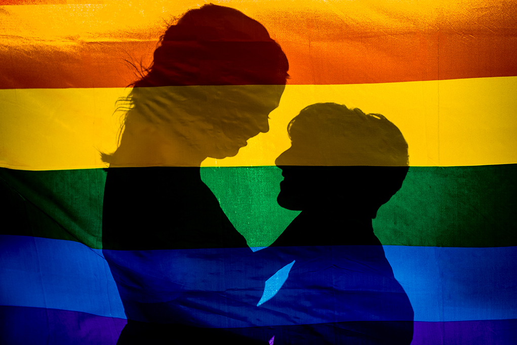 Two brides-to-be silhouetted with their pride flag during their Great Falls engagement photos by Potok's World Photography, engagement photographers in Maryland