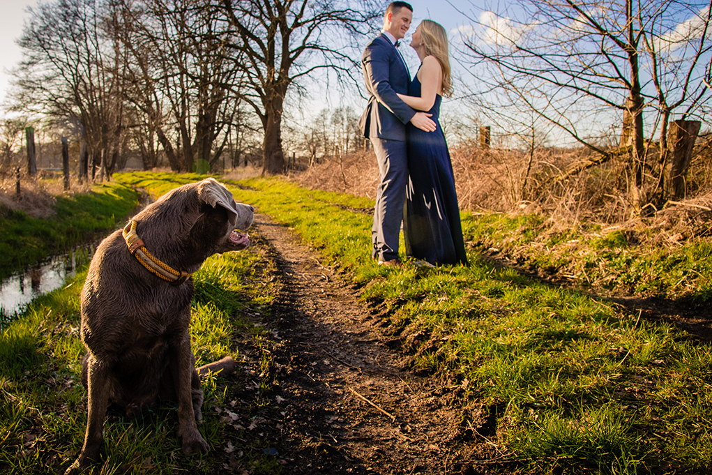 Spring outdoor engagement photos with dogs by DC wedding photographers Potok's World Photography