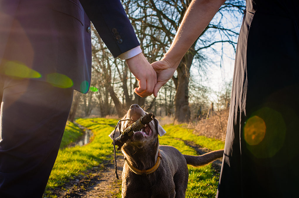 Engagement Photos with Dogs: Four Great Tips