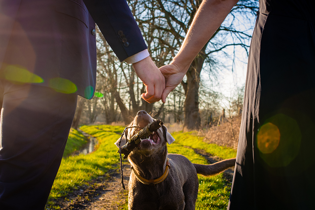 Spring outdoor engagement photos with dogs by DC wedding photographers Potok's World Photography