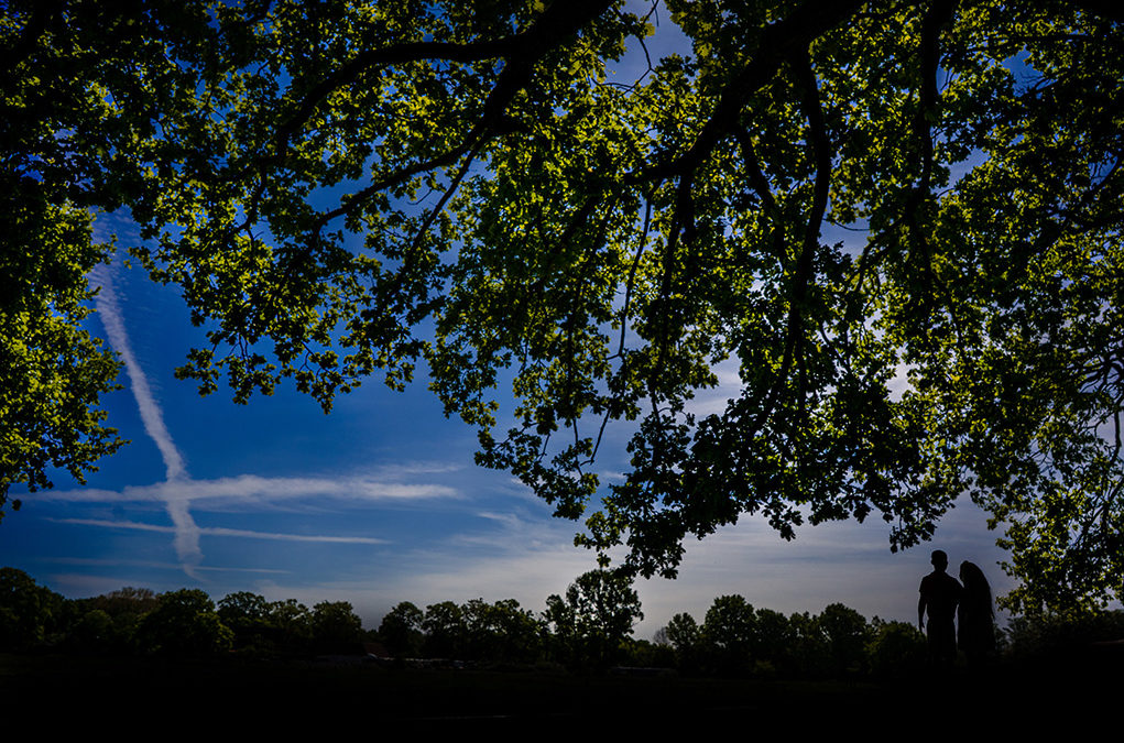 Destination forest engagement photos in Hannover Germany by DC Wedding Photographers of Potok's World Photography