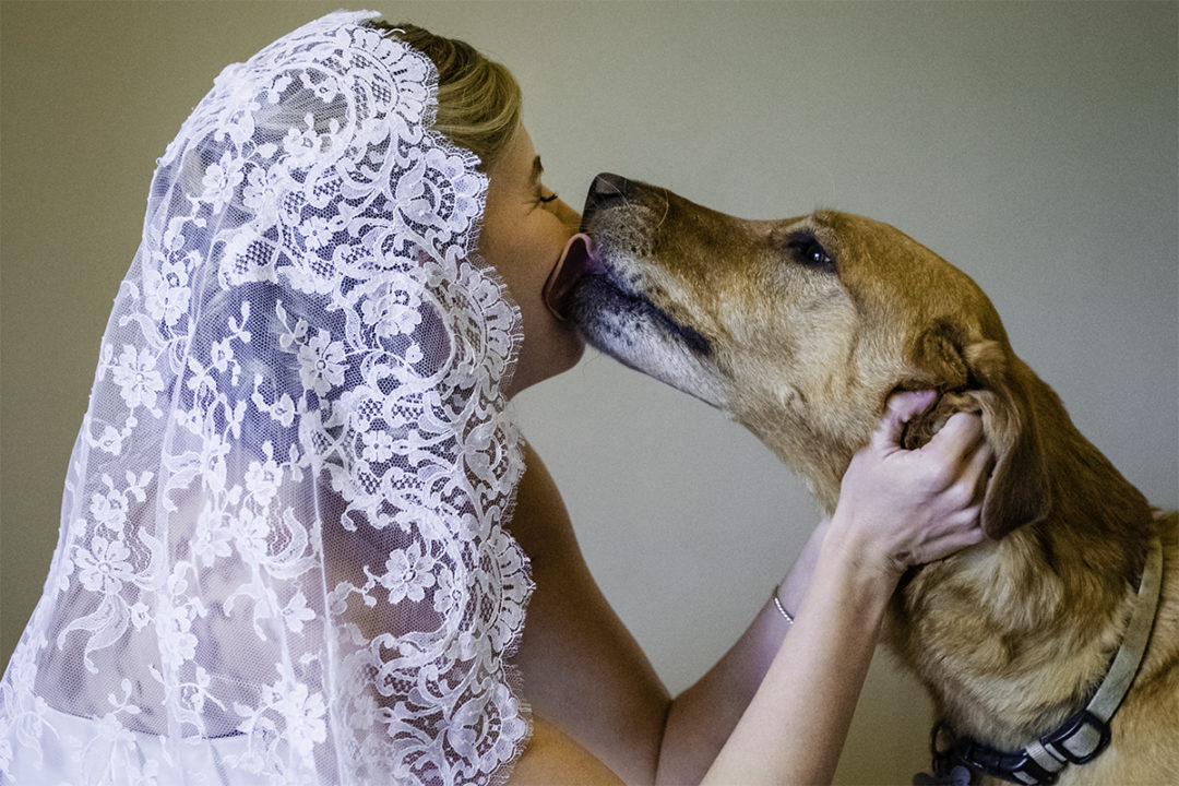 Bride with her dog in her wedding dress in Falls Church, Virginia by DC wedding photographers of Potok's World Photography