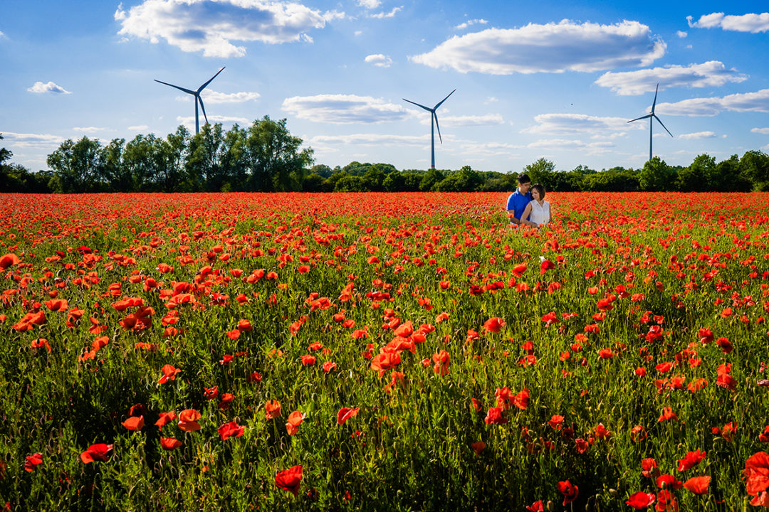 Spring engagement photos in red poppy fields by DC wedding photographer Potok's World Photography