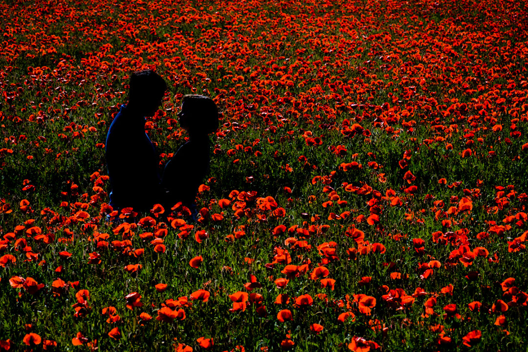 Spring engagement photos and silhouette of couple in red poppy fields by DC wedding photographer Potok's World Photography