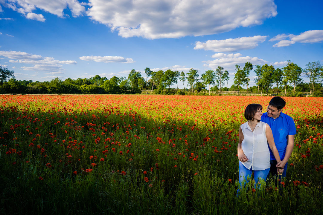 Spring engagement photos in red poppy fields by DC wedding photographer Potok's World Photography