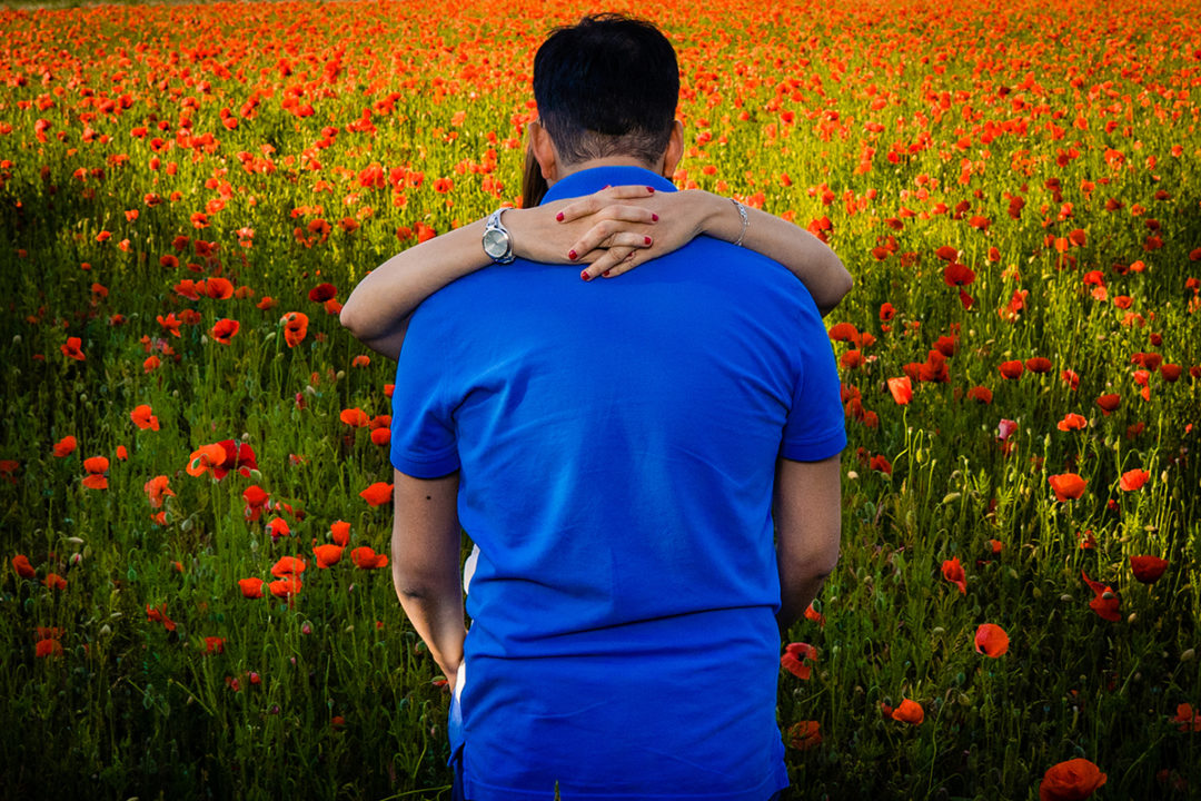 Spring engagement photos in red poppy fields by DC wedding photographer Potok's World Photography