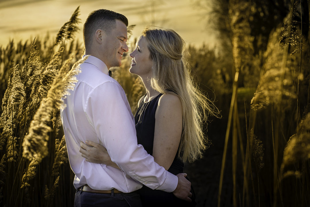 Engagement session in a golden field with couple posing by Potok's World Photography, engagement photographers in Washington DC