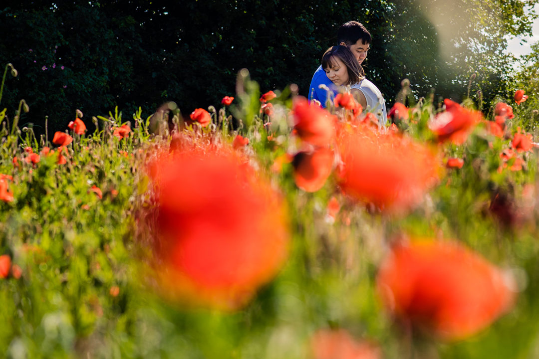 Couple posing amidst red poppy flowers during engagement session by Potok's World Photography, wedding and engagement photographers in Washington DC