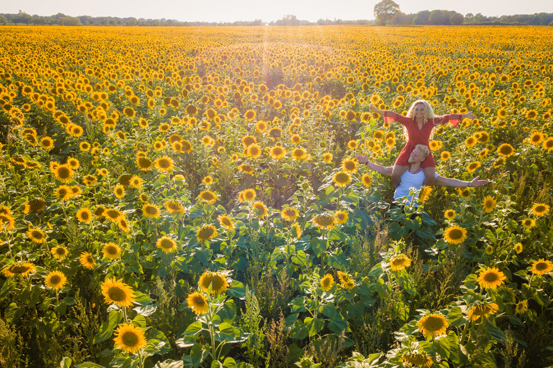 Drone photos of couple during sunflower field engagement session by DC wedding photographers of Potok's World photography