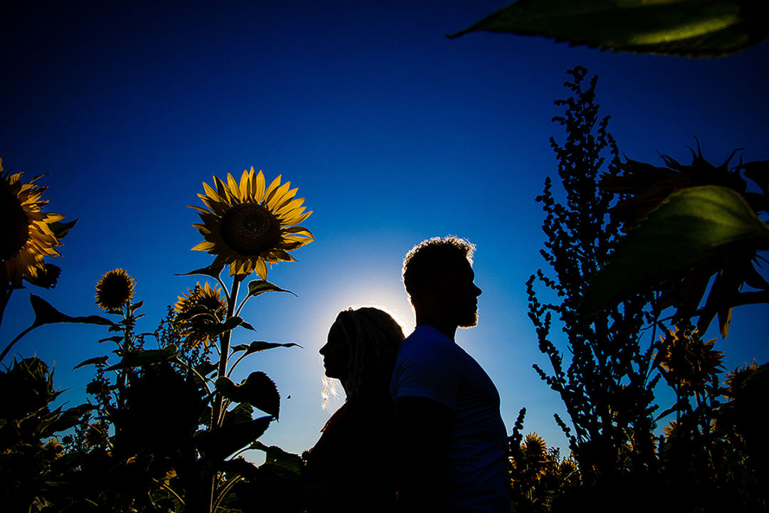 Photos of couple posing in sunflower field during engagement session