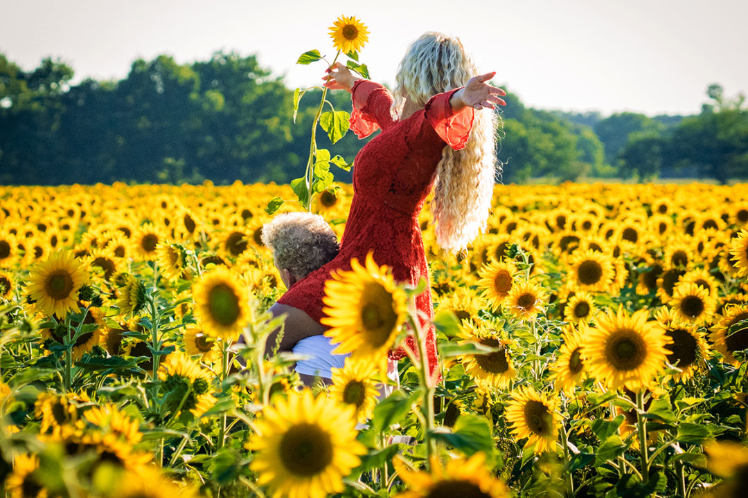 Sunflower field engagement session by DC wedding and elopement photographers of Potok's World Photography