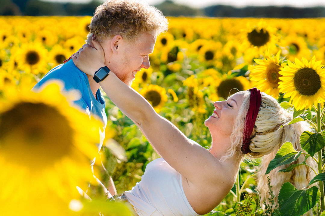 Sunflower field engagement session by northern Virginia wedding photographers of Potok's World Photography