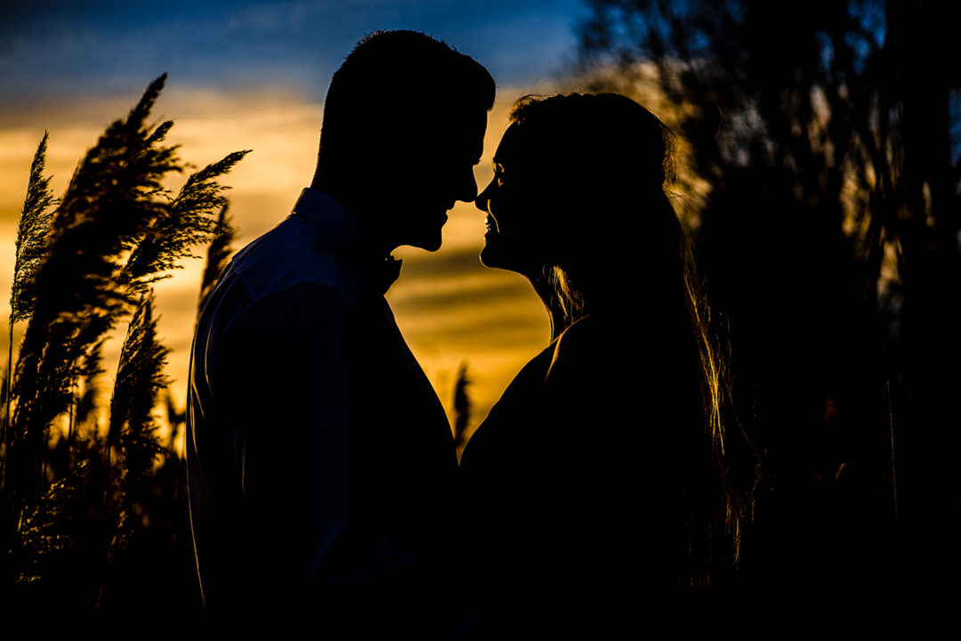 Engagement session in sunflower field silhouette by Northern Virginia wedding photographers of Potok's World Photography