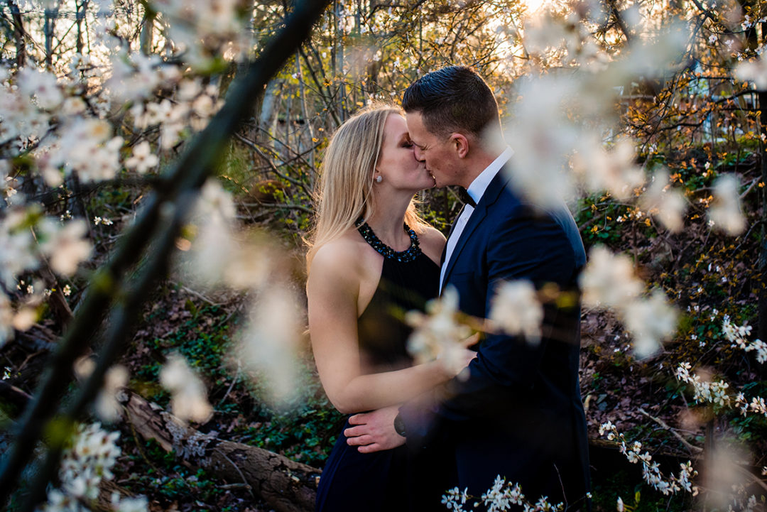 Sunset cherry blossom engagement session at Meadowlark Botanical Gardens in Vienna Virginia by DC wedding photographers of Potok's World Photography