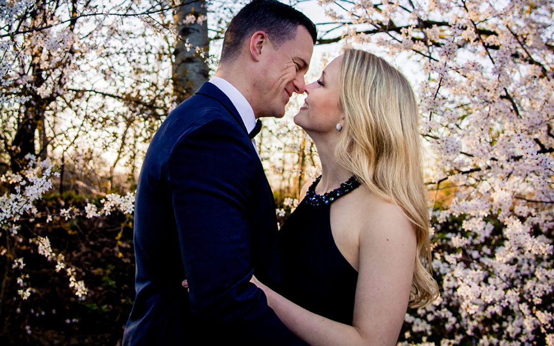 Sunset cherry blossom engagement session at Meadowlark Botanical Gardens in Vienna Virginia by DC wedding photographers of Potok's World Photography