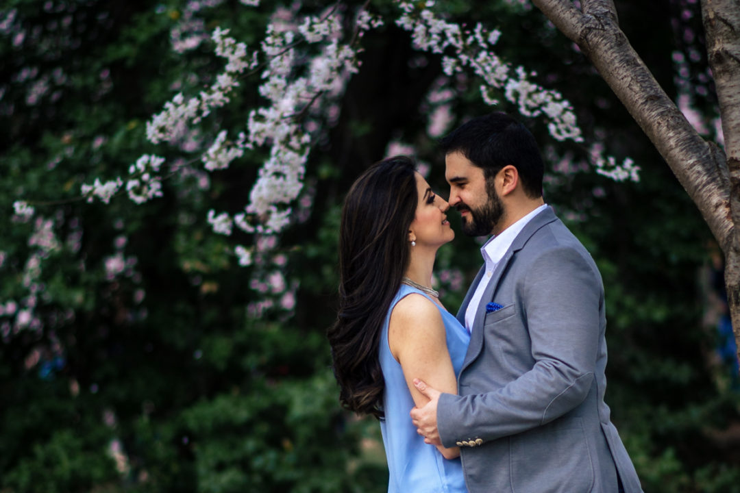 Cherry blossom engagement session at the DC Tidal Basin by Potok's World Photography