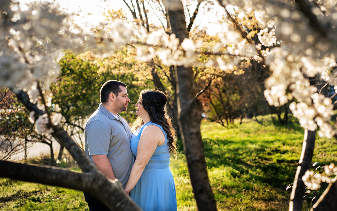 Cherry blossom engagement photos at Green Spring Gardens in Virginia by DC wedding photographers of Potok's World Photography