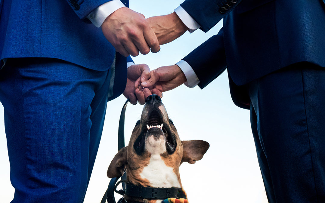 Same sex wedding ceremony with dog at the Conrad Hotel in DC by Potok's World Photography