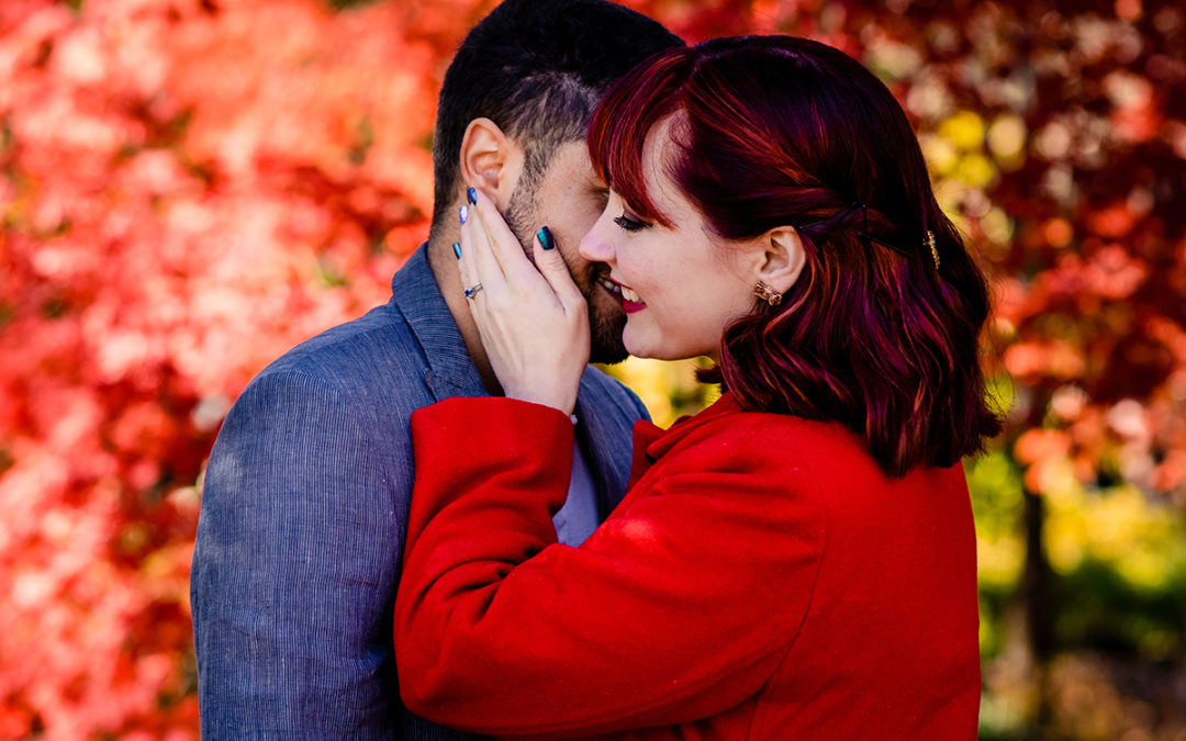 Meadowlark Botanical Gardens colorful fall engagement photos by Virginia wedding photographers of Potok's World Photography