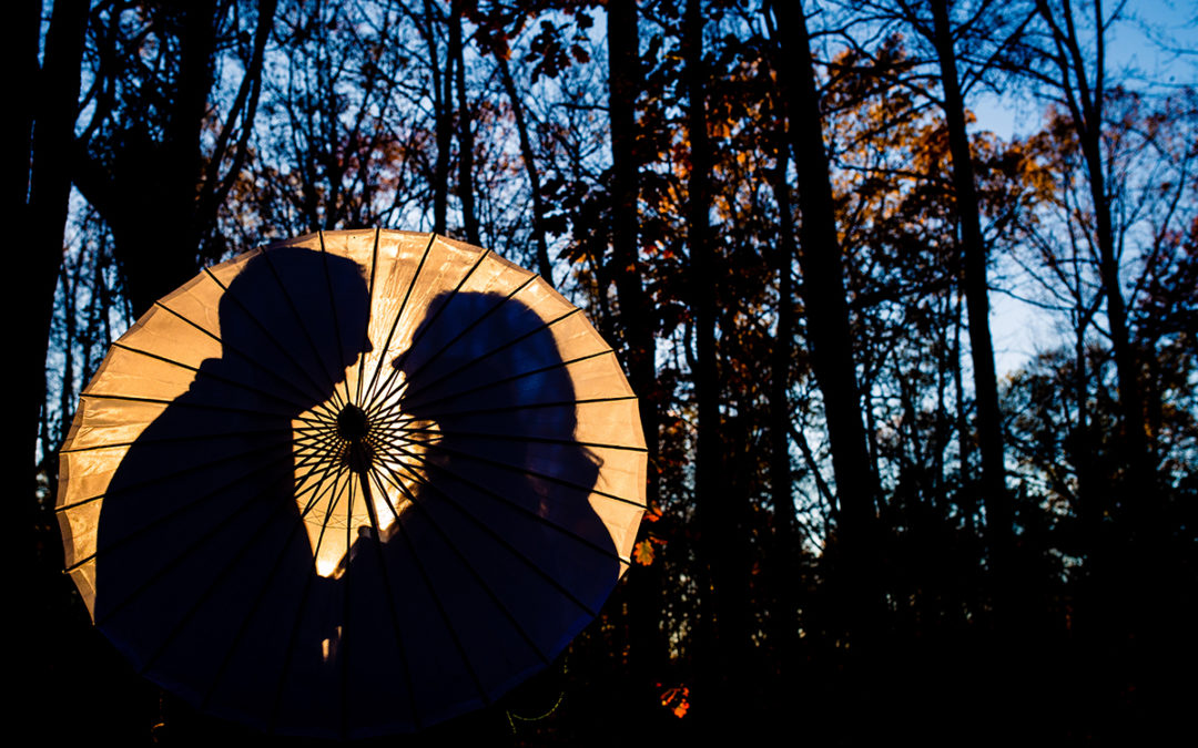 Creative engagement photos in the fall at Ellanor C Lawrence Park in Virginia by Washington DC wedding photographers of Potok's World Photography