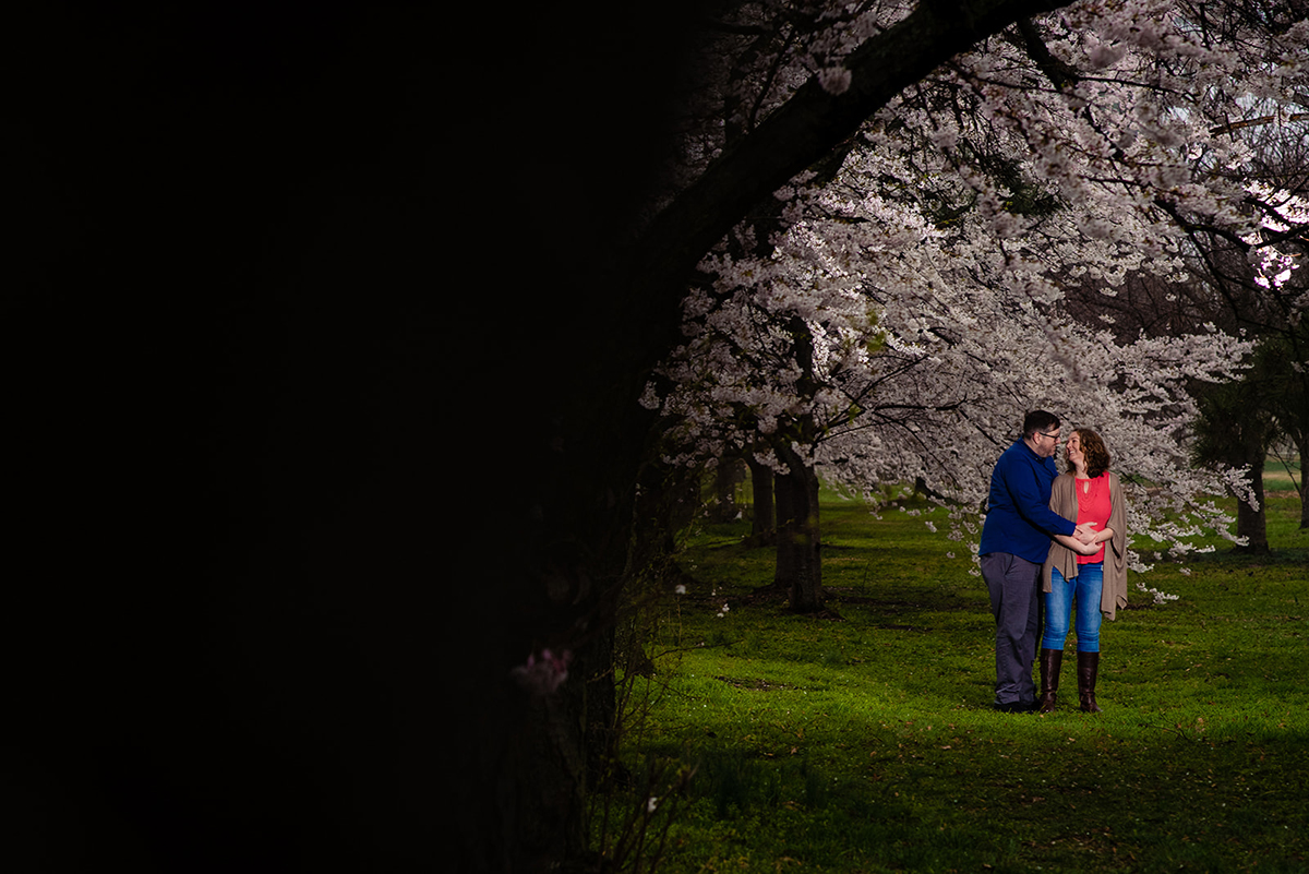 Hains Point and East Potomac Park DC Cherry Blossom Engagement Session by Potok's World Photography