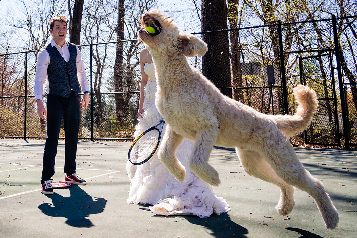 Dunn Loring Park in Fairfax Virginia wedding portraits of bride and groom with their dog by DC wedding photographers of Potok's World Photography