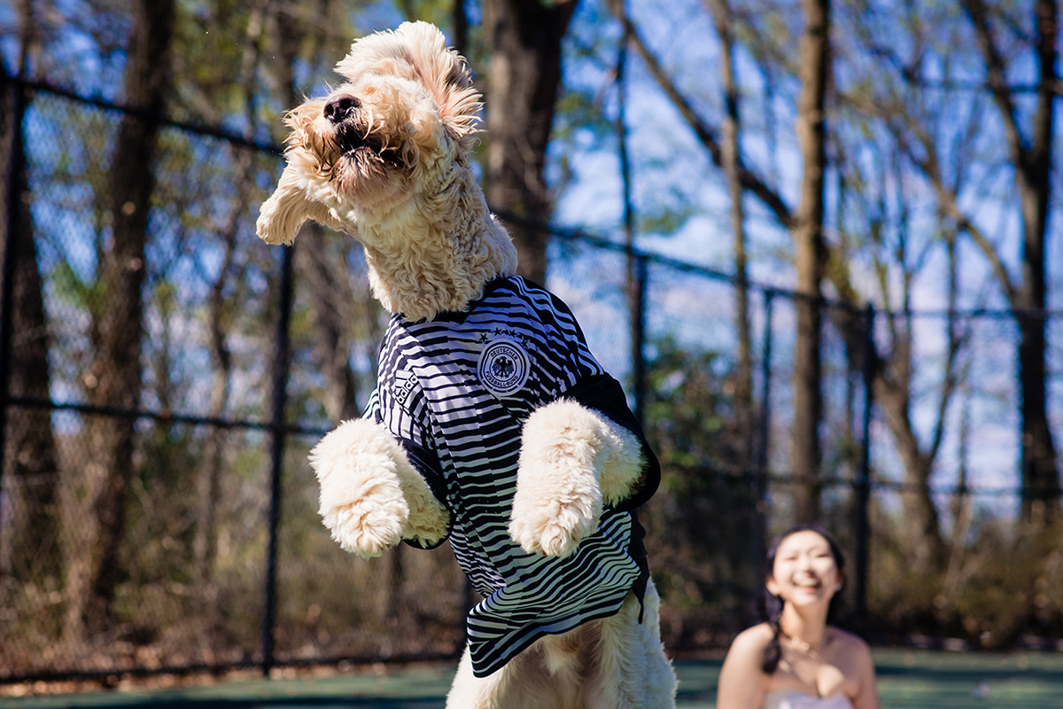 Dunn Loring Park in Fairfax Virginia wedding portraits of bride and groom with their dog by DC wedding photographers of Potok's World Photography