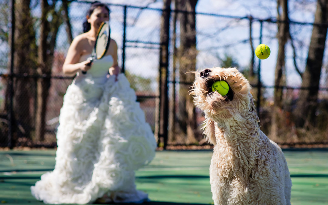 Dunn Loring Park in Fairfax Virginia wedding portraits of bride and groom with their dog by DC wedding photographers of Potok's World Photography