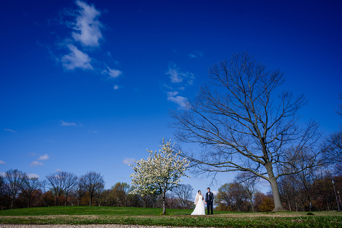 National Mall DC Spring Cherry Blossom bride and groom wedding portraits by DC wedding photographers of Potok's World Photography