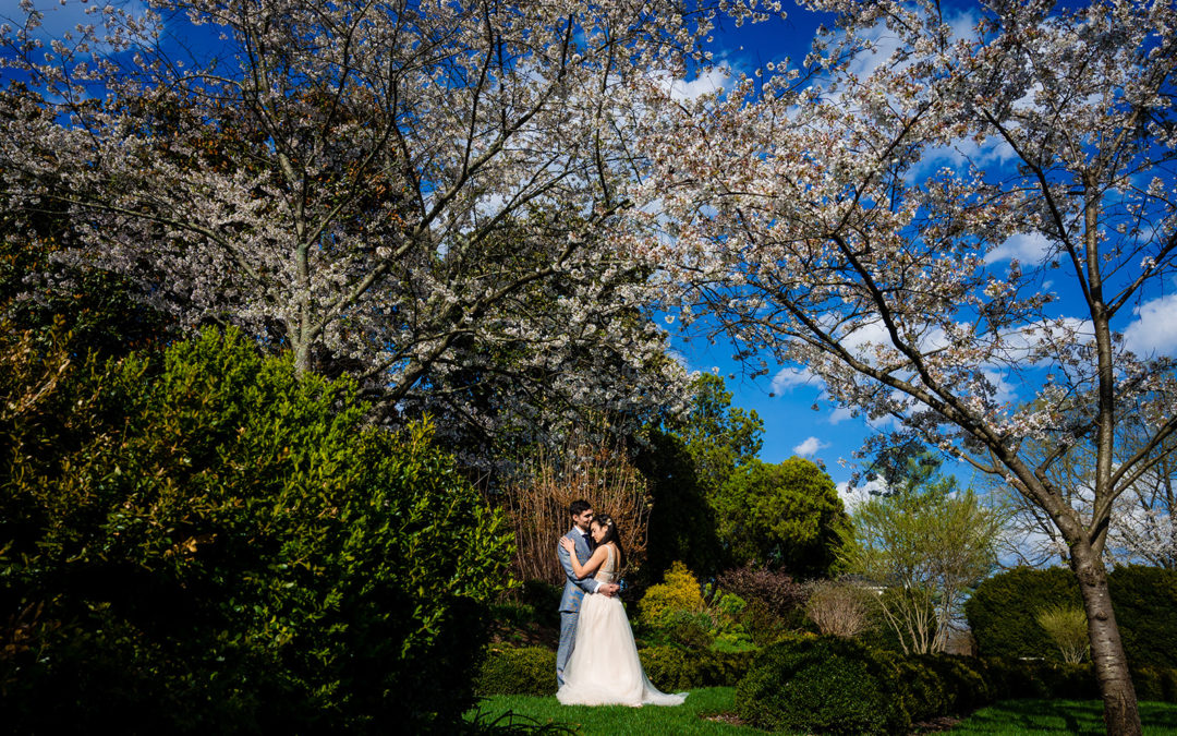 Couples Portraits in The Green Hedges Walkway and The Boxwood Garden at Oatlands Virginia by DC wedding photographers of Potok's World Photography