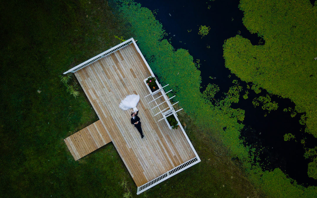 Nature-themed Fredericksburg Virginia drone portraits of the bride and groom