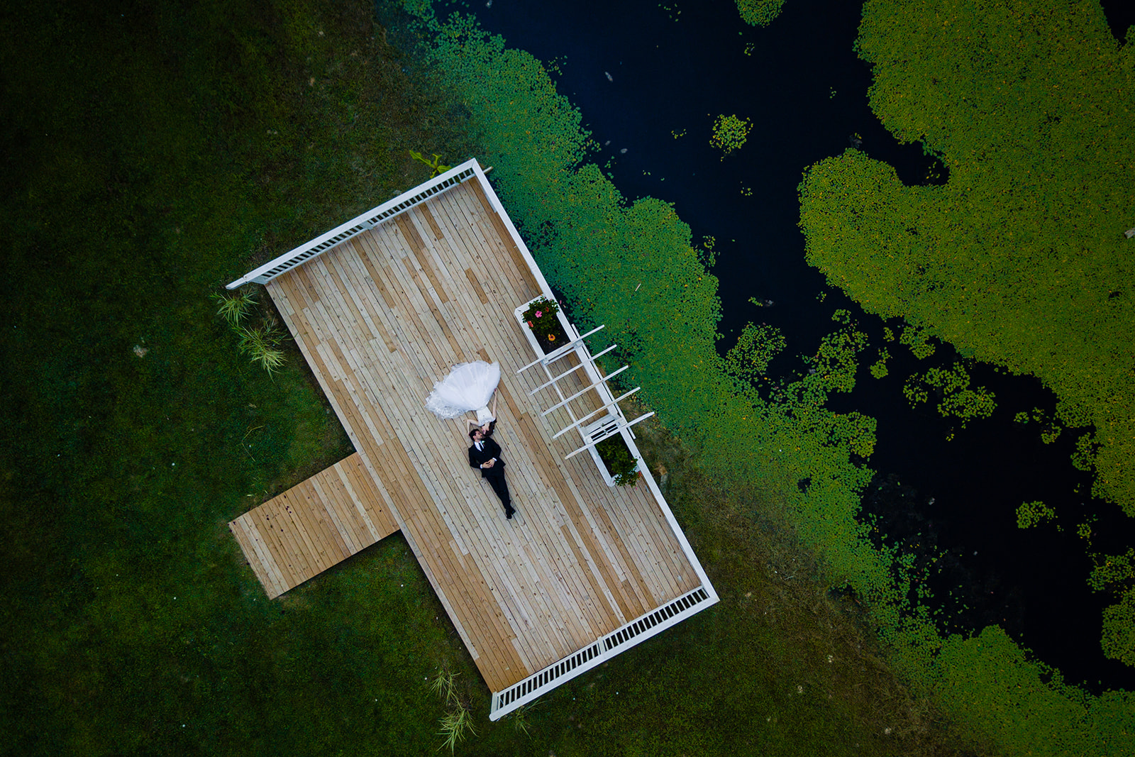 Nature-themed Fredericksburg Virginia drone  portraits of the bride and groom by Potok's World Photography
