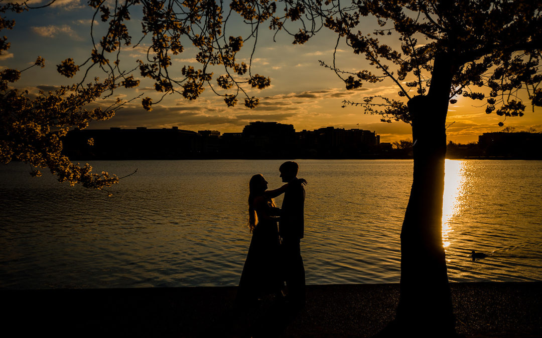 Katherine + Daniel | Cherry Blossom Engagement Photos | Tidal Basin, DC